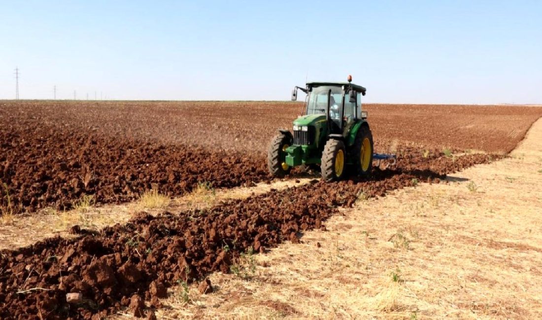Türkiye’de Tarımda Kuraklık ve Çiftçinin Durumu Türkiye'de tarımda kuraklık ve çiftçilerin karşılaştığı zorluklar, çözüm önerileri ve
