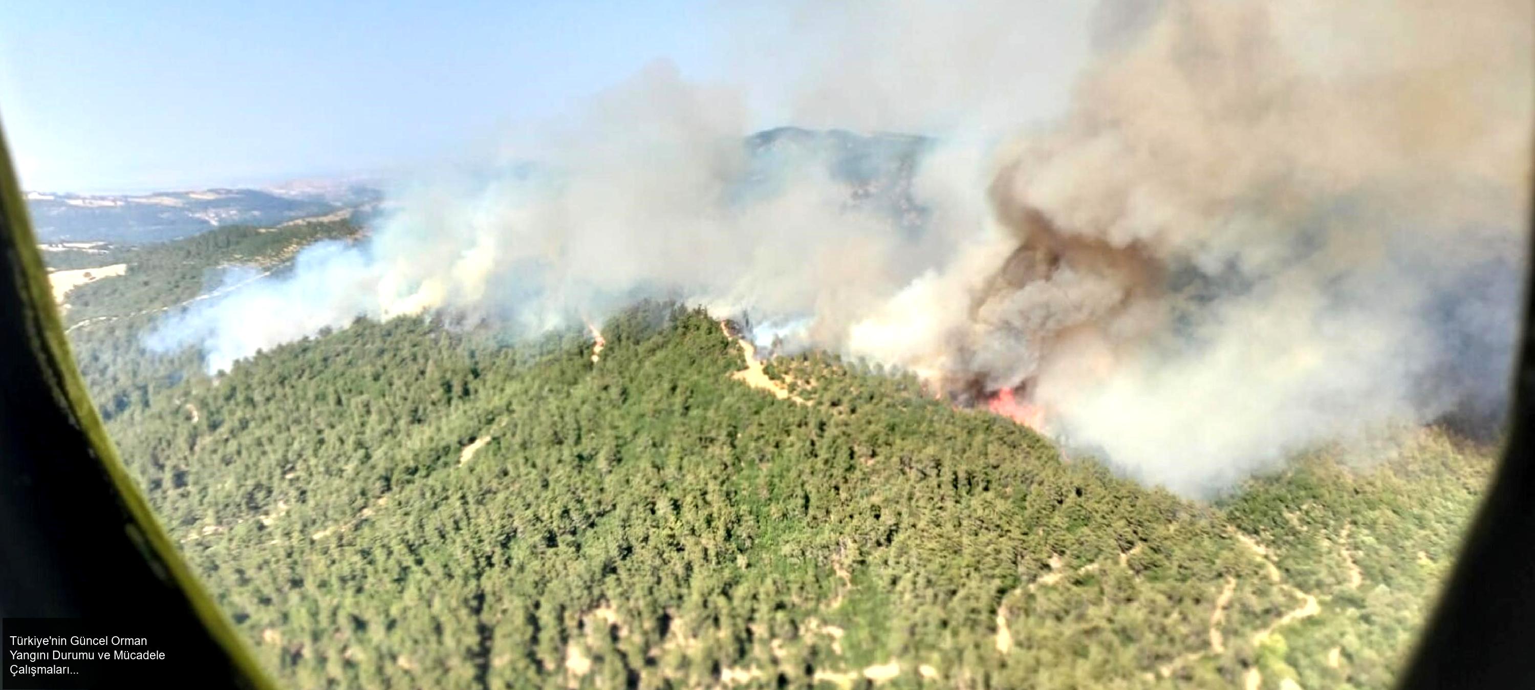 Tekirdağ Şarköy'deki Yangın ve Güncel Durum