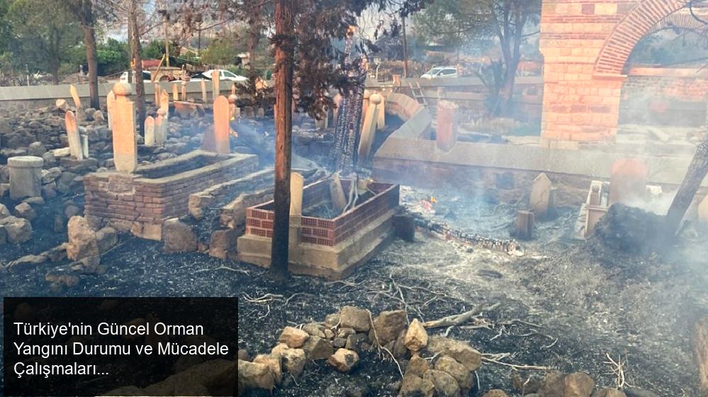 Türkiye'nin Güncel Orman Yangını Durumu ve Mücadele Çalışmaları