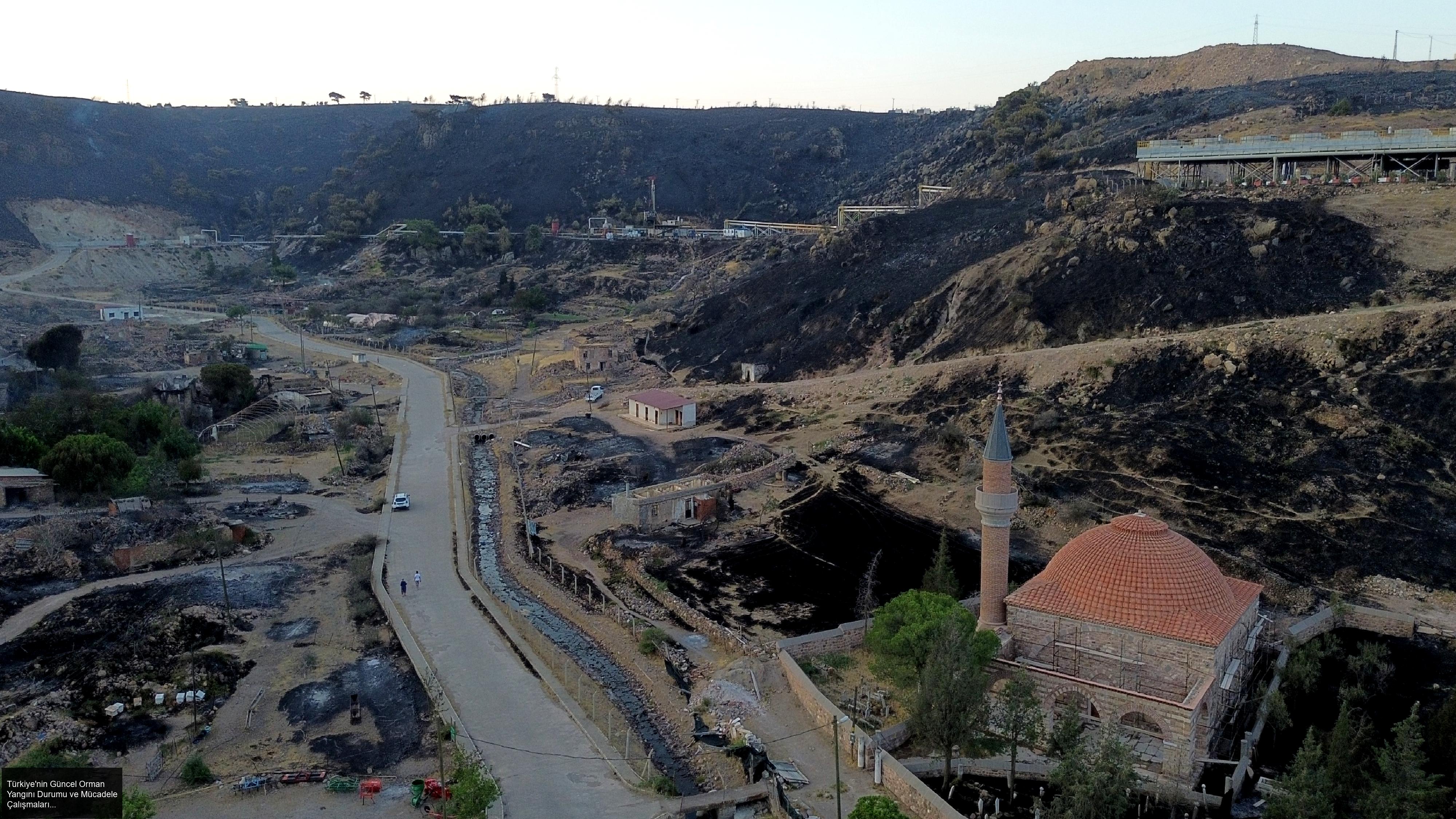 Türkiye'nin Güncel Orman Yangını Durumu ve Mücadele Çalışmaları