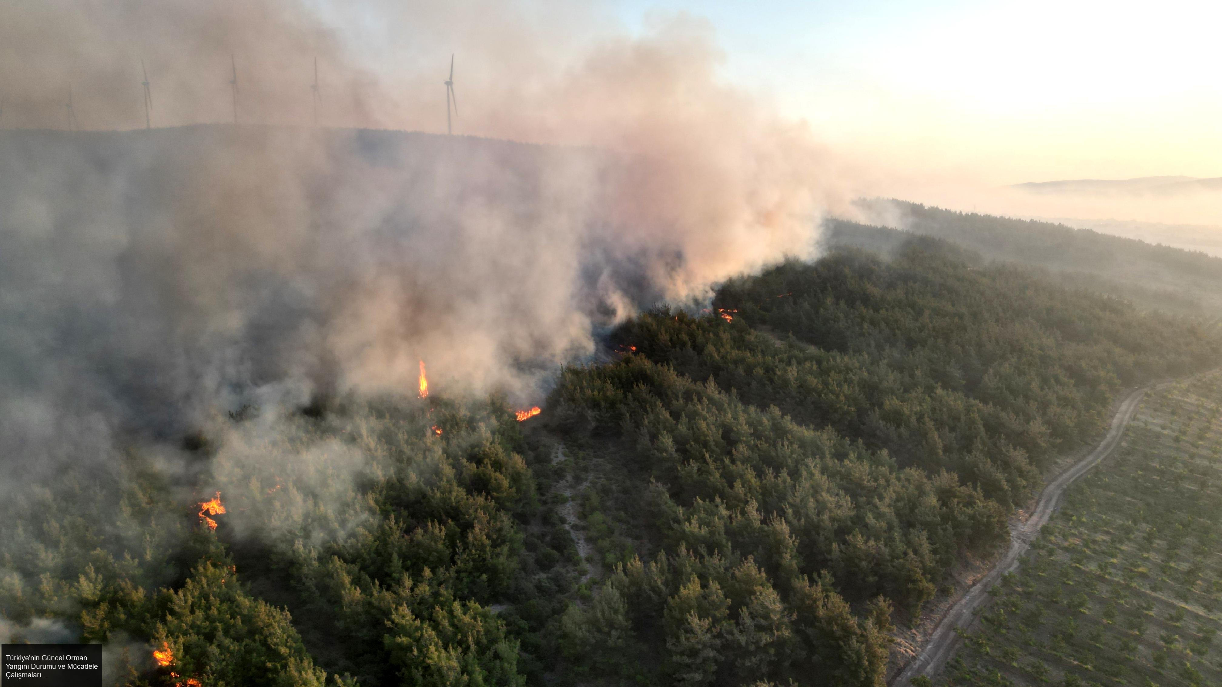 Türkiye'nin Güncel Orman Yangını Durumu ve Mücadele Çalışmaları