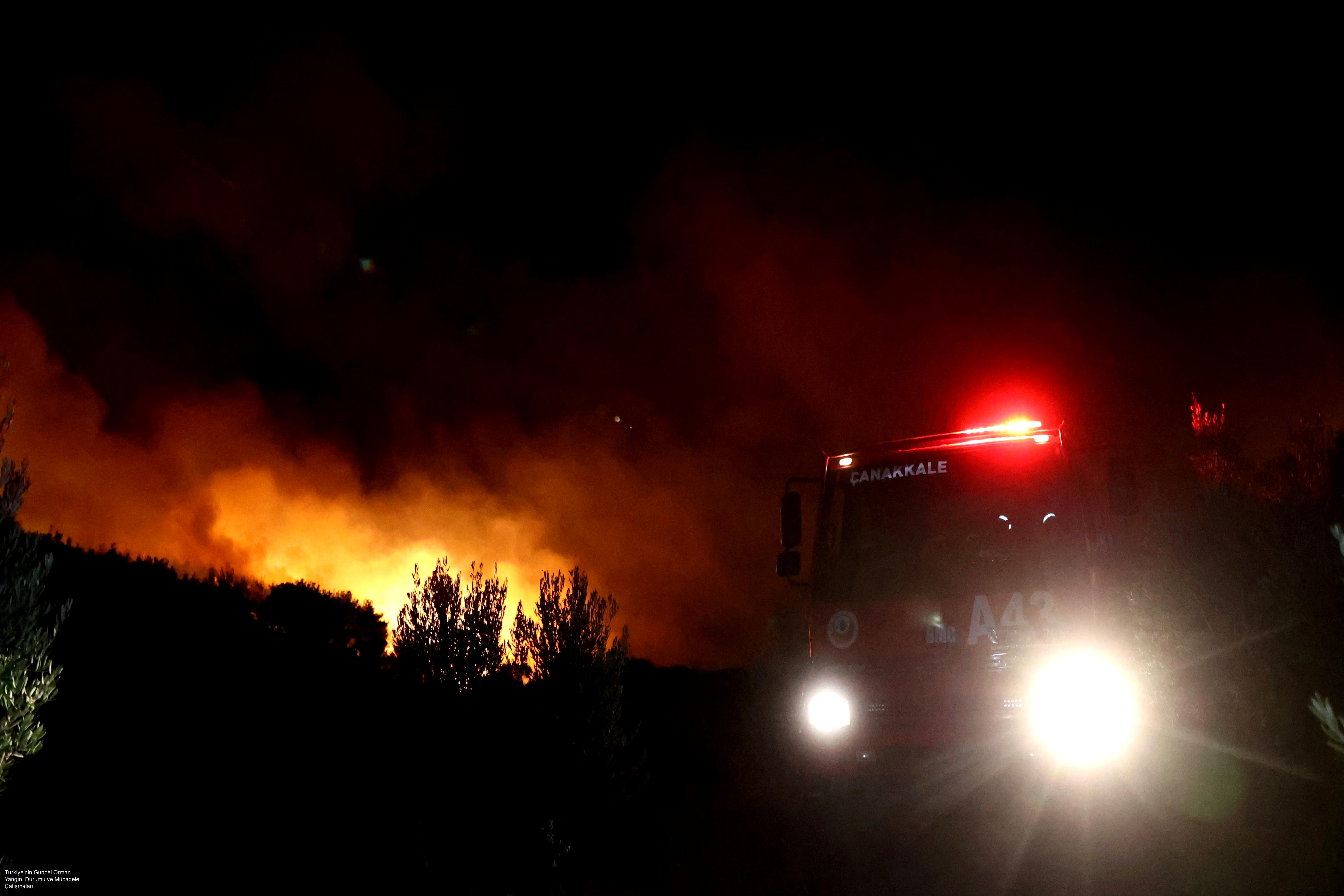 Türkiye'nin Güncel Orman Yangını Durumu ve Mücadele Çalışmaları