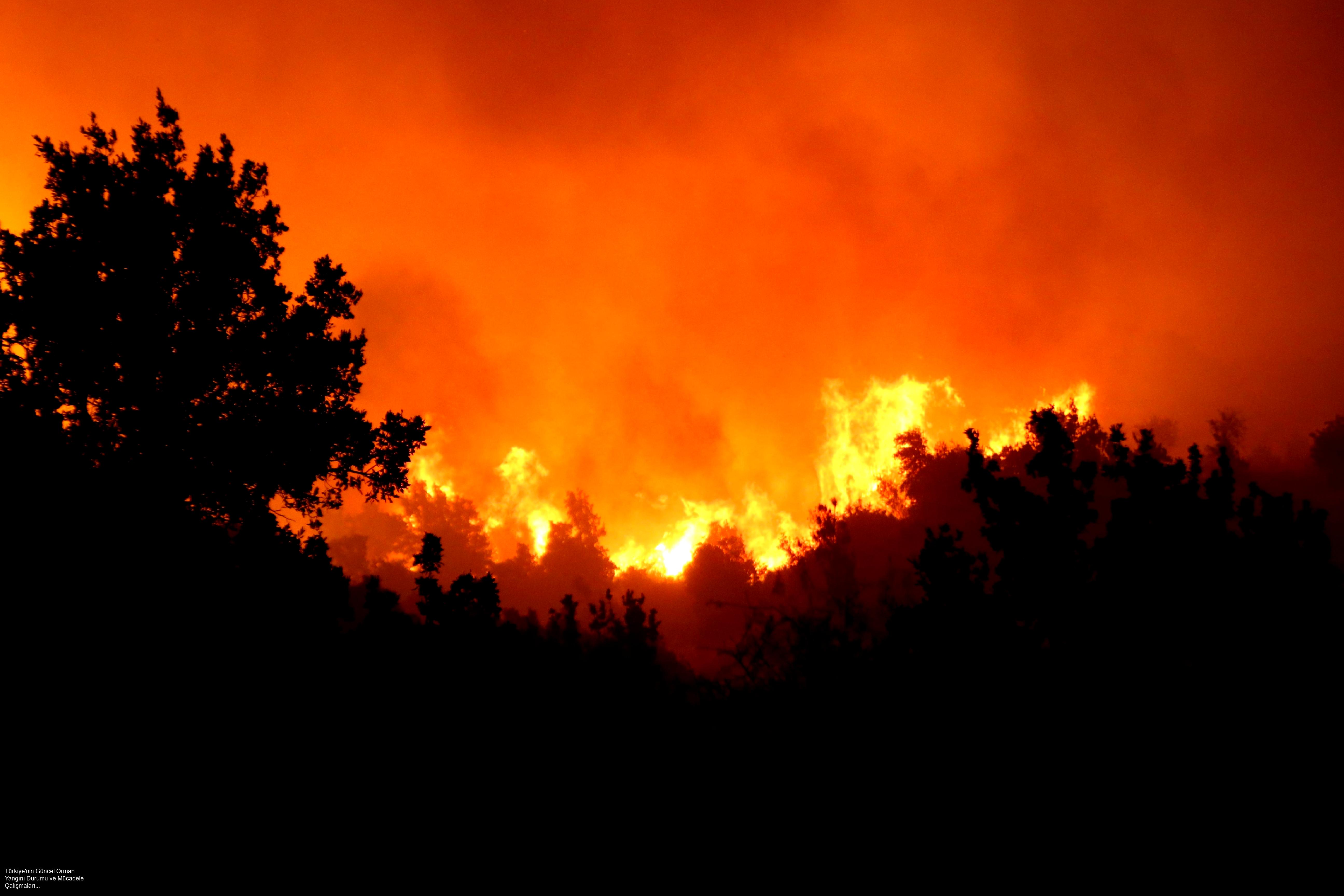 Türkiye'nin Güncel Orman Yangını Durumu ve Mücadele Çalışmaları