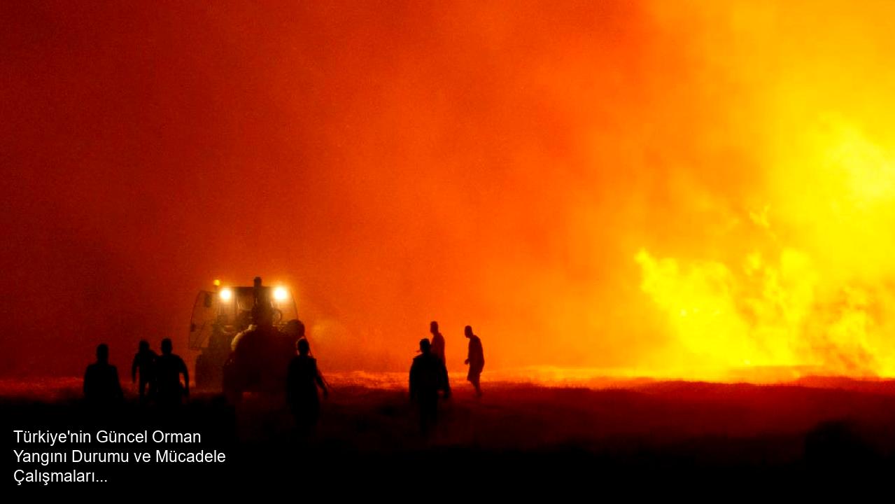 Türkiye'nin Güncel Orman Yangını Durumu ve Mücadele Çalışmaları
