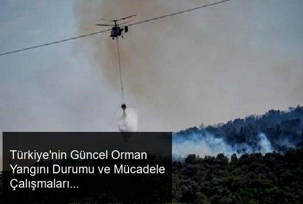 Türkiye'nin Güncel Orman Yangını Durumu ve Mücadele Çalışmaları