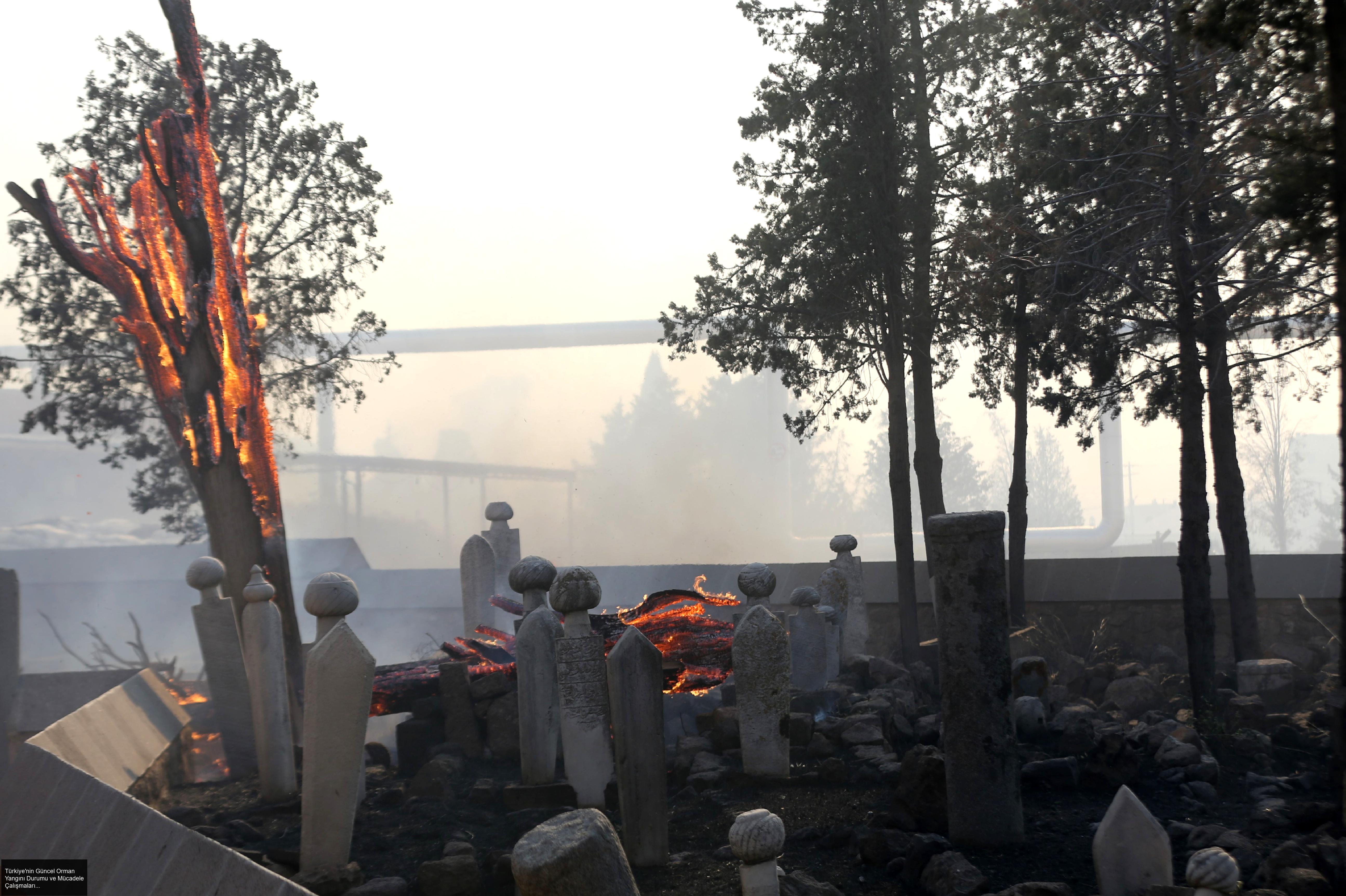 Türkiye'nin Güncel Orman Yangını Durumu ve Mücadele Çalışmaları