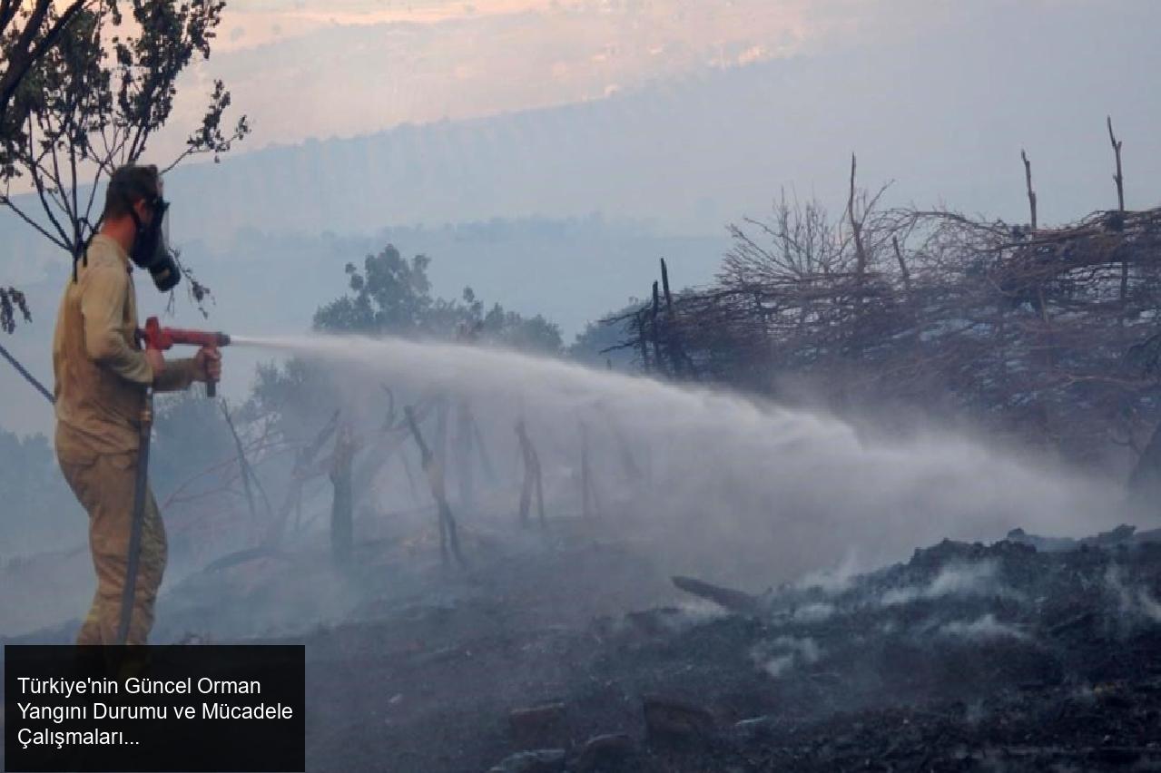 Türkiye'nin Güncel Orman Yangını Durumu ve Mücadele Çalışmaları