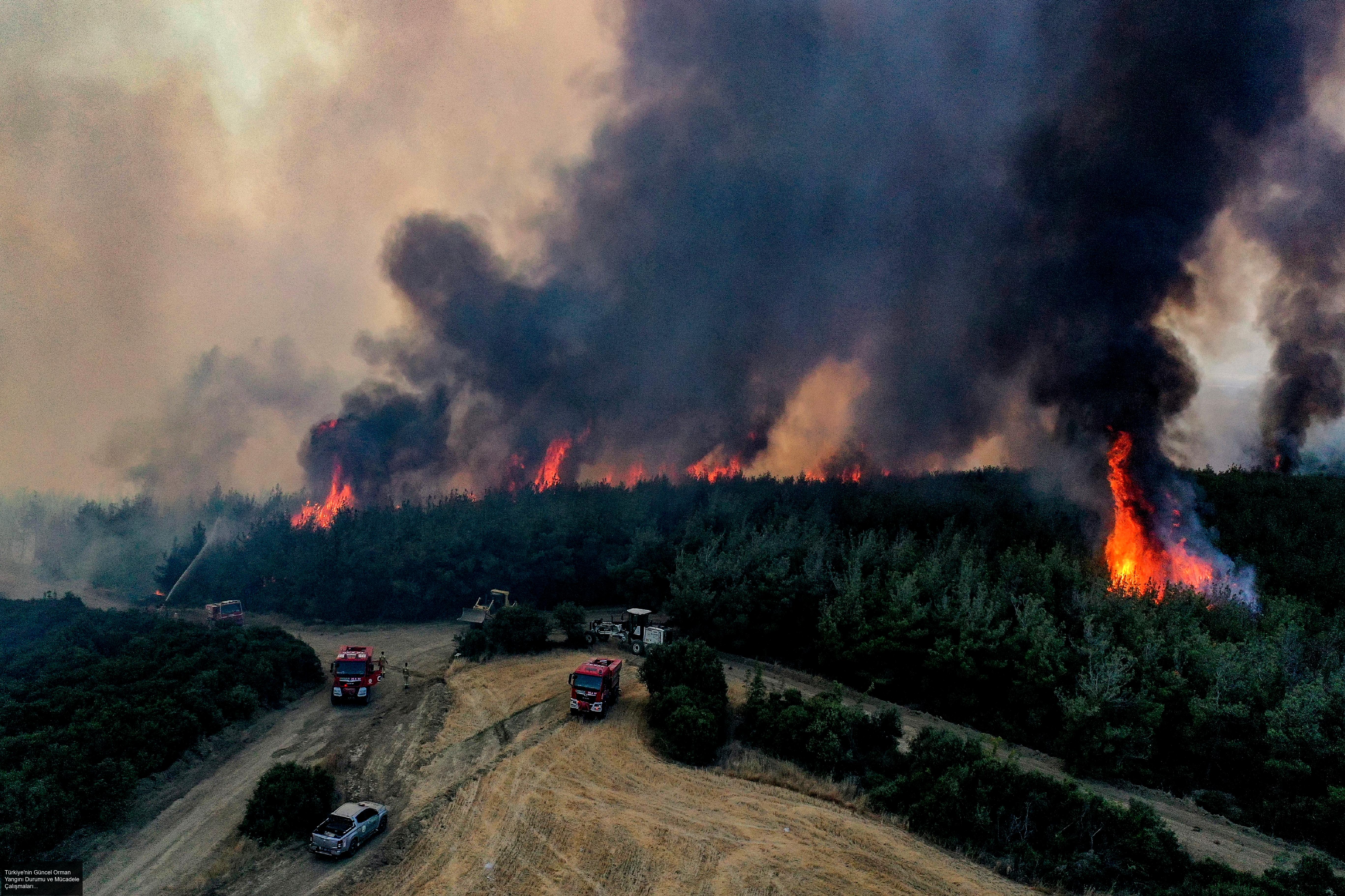İnsanların Güvenliği ve Tahliyeler