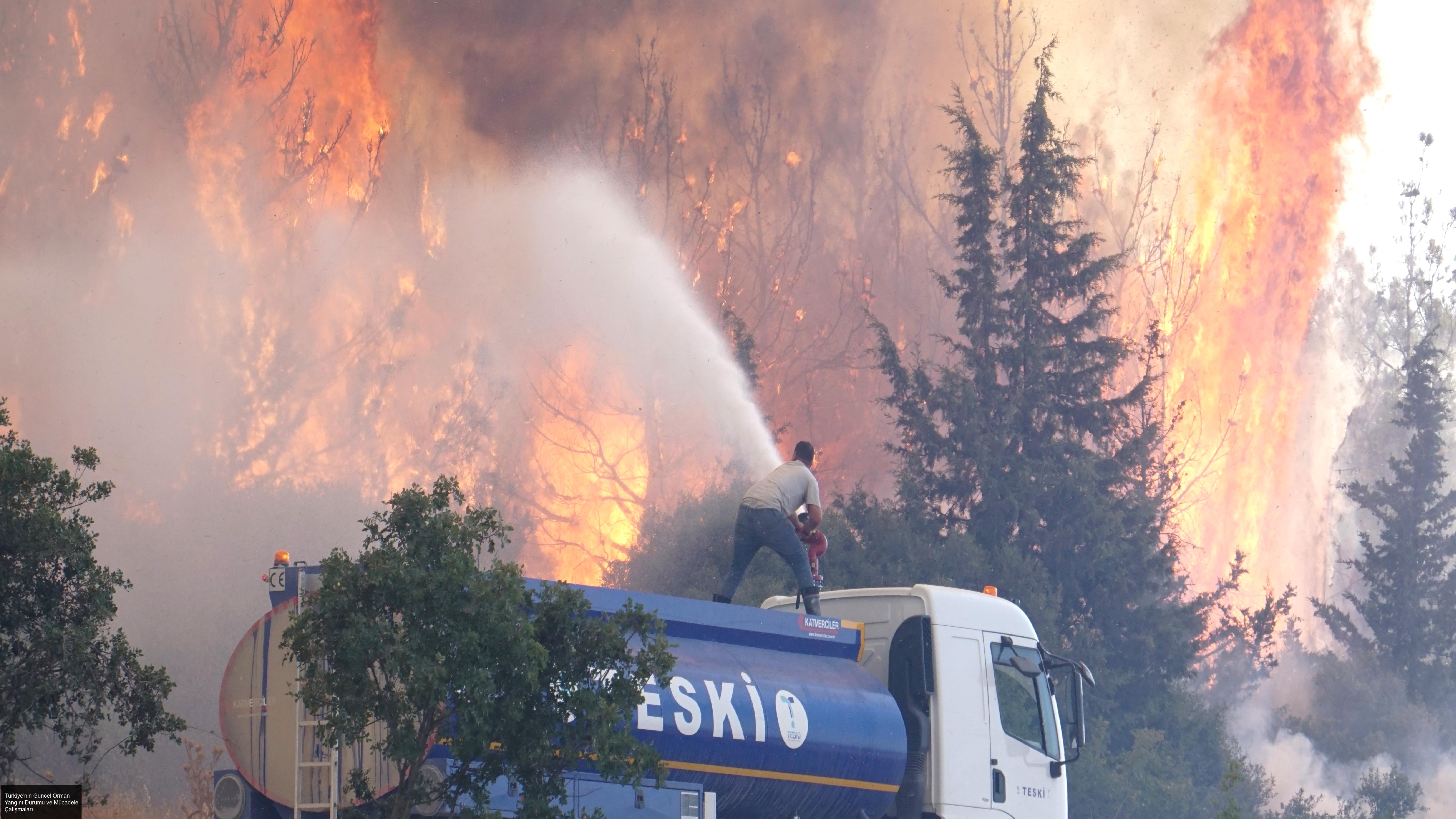 Balıkesir'de Orman Yangını ve Müdahale Çalışmaları