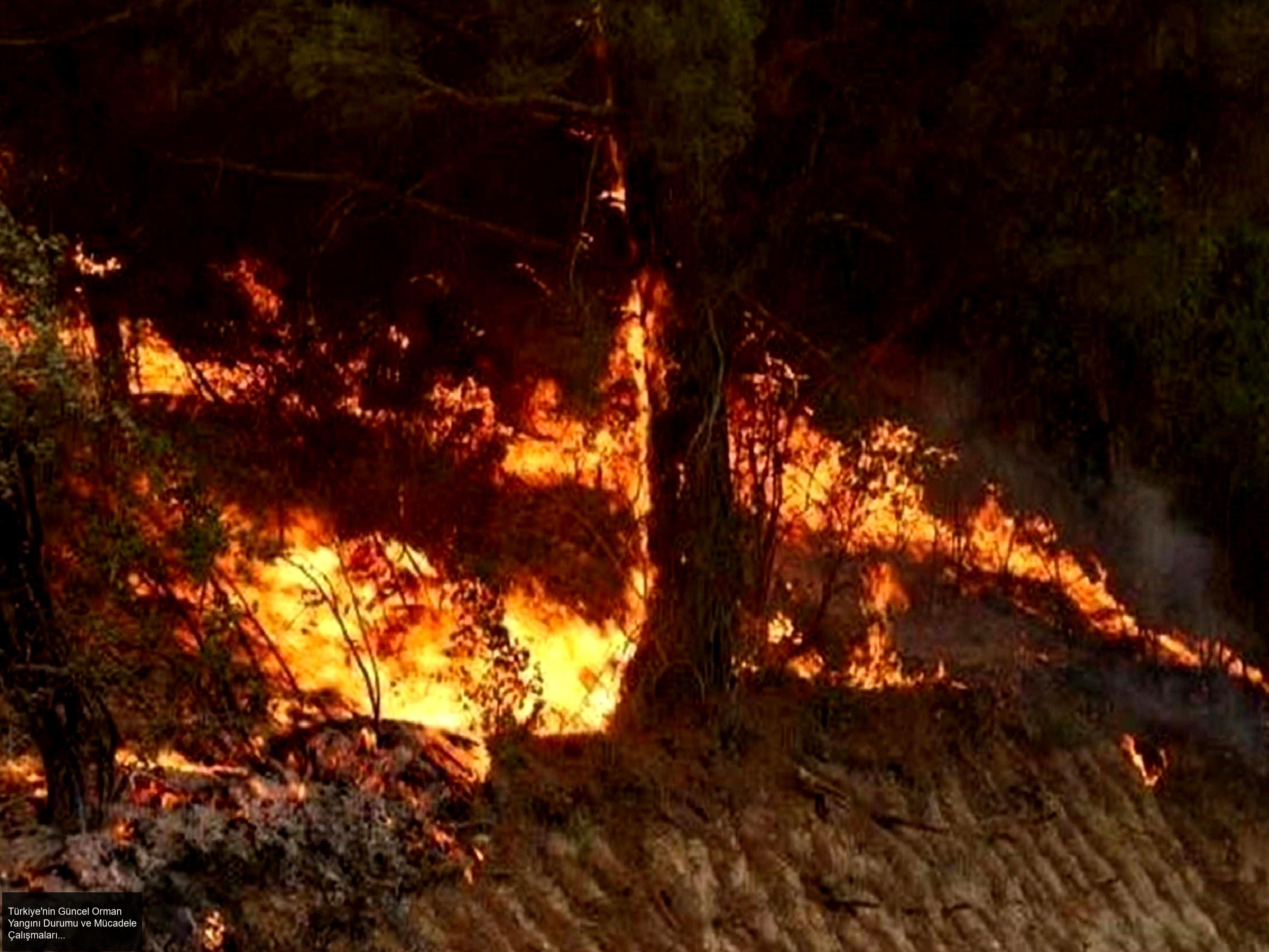 Yangının Güncel Gelişmeleri ve Hava Durumu