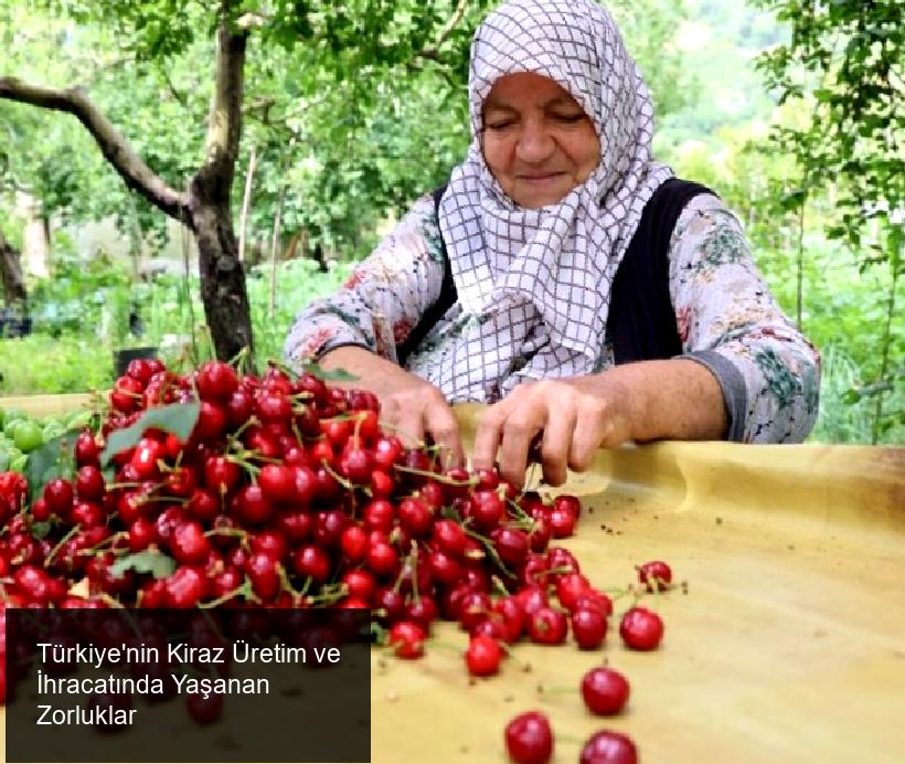 Türkiye’nin Önde Gelen Kiraz Üretim Bölgeleri ve Yaşanan Zorluklar