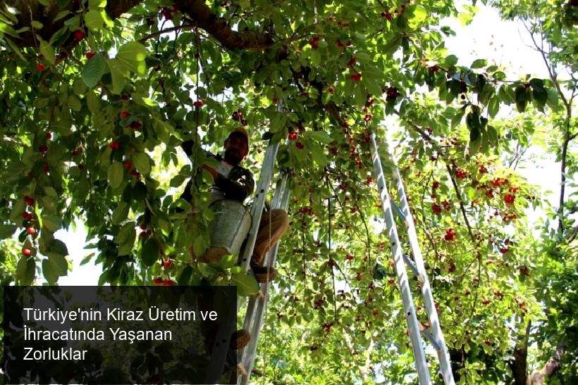 İklim Değişiklikleri ve Zirai Donun Etkisi