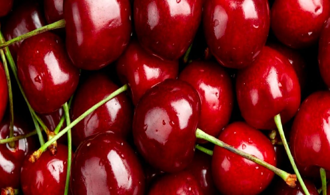 Türkiye'nin kiraz üretimi ve ihracatında karşılaşılan zorlukları, nedenleri ve çözüm