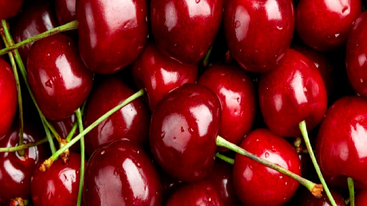 Türkiye'nin kiraz üretimi ve ihracatında karşılaşılan zorlukları, nedenleri ve çözüm