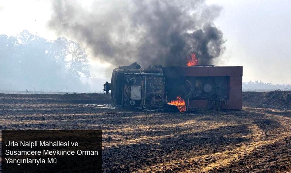 Urla'nın Naipli Mahallesi Yakınlarındaki Ormanda Çıkan Yangın