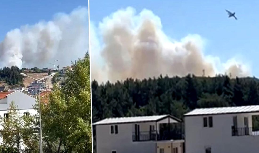 Urla Naipli Mahallesi ve Susamdere Mevkiinde Orman Yangınlarıyla Mücadele Urla Naipli Mahallesi ve Susamdere Mevkiinde orman yangınlarıyla mücadele çalışmaları