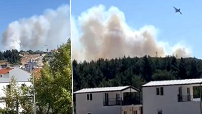 Urla Naipli Mahallesi ve Susamdere Mevkiinde orman yangınlarıyla mücadele çalışmaları