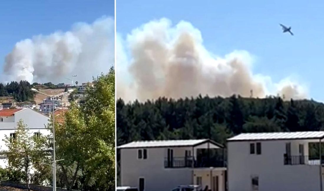 Urla Naipli Mahallesi Yakınlarındaki Orman Yangınına Hızla Müdahale Edildi Urla Naipli Mahallesi yakınlarındaki orman yangını hızla söndürülerek ekolojik dengenin