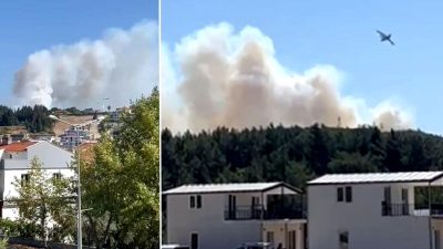 Urla Naipli Mahallesi yakınlarındaki orman yangını hızla söndürülerek ekolojik dengenin