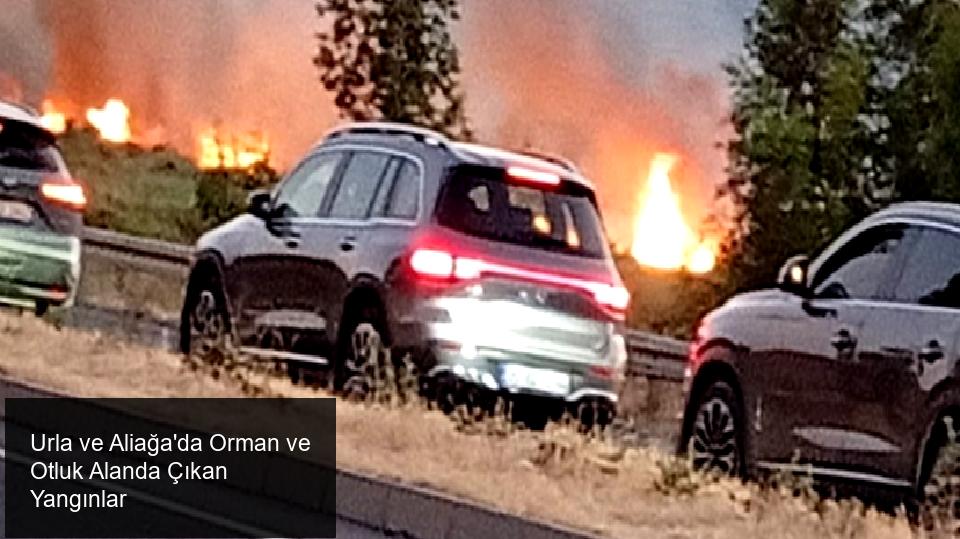 Urla'nın Naipli Mahallesi ve Çevresinde Orman Yangını