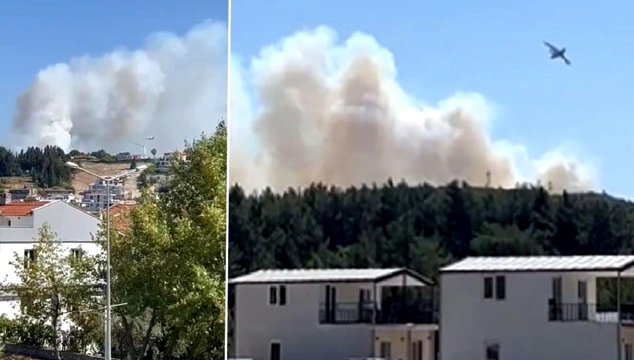 Urla ve Aliağa'da orman ve otluk alanlarında çıkan yangınlar hakkında