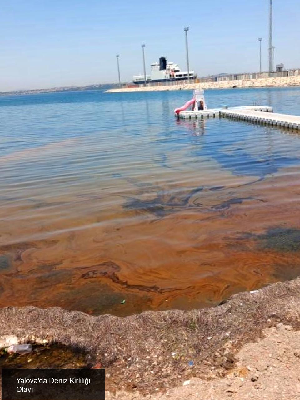 Yalova Çiftlikköy'de Deniz Kirliliği Tespiti