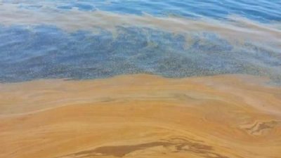 Yalova'da deniz kirliliği olayı: Nedenleri, etkileri ve çözüm önerileri hakkında