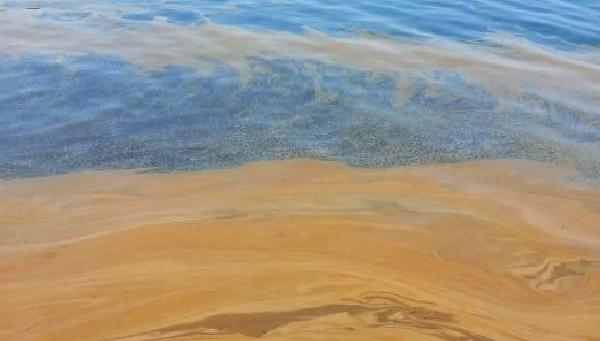 Yalova'da deniz kirliliği olayı: Nedenleri, etkileri ve çözüm önerileri hakkında
