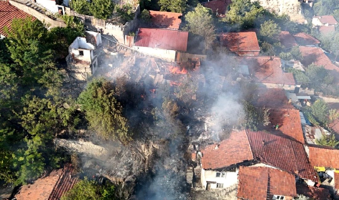 Yenimahallede Otluk Alanda Çıkan Yangın ve Sonuçları Yenimahallede Otluk Alanı'nda çıkan yangının nedenleri, etkileri ve alınan önlemler