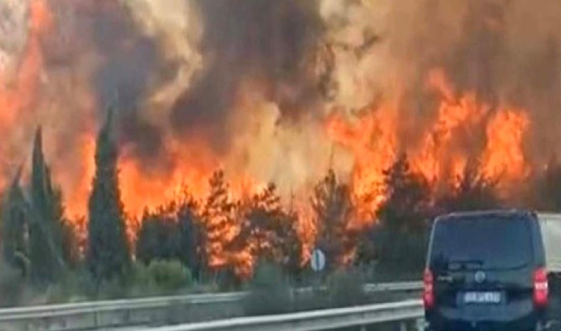 Yılmaz'ın orman yangınları konusundaki açıklaması: Nedenler, etkiler ve alınacak önlemler.