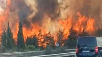 Yılmaz'ın orman yangınları konusundaki açıklaması: Nedenler, etkiler ve alınacak önlemler.
