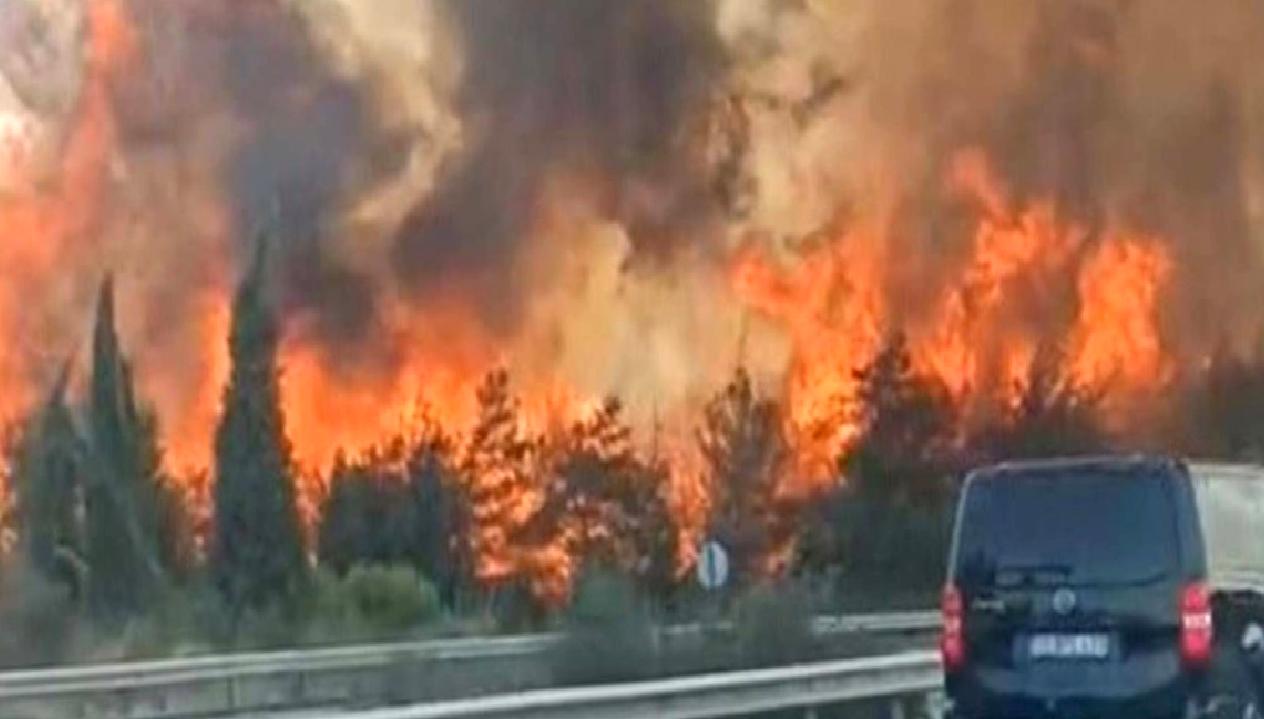 Yılmaz'ın orman yangınları konusundaki açıklaması: Nedenler, etkiler ve alınacak önlemler.