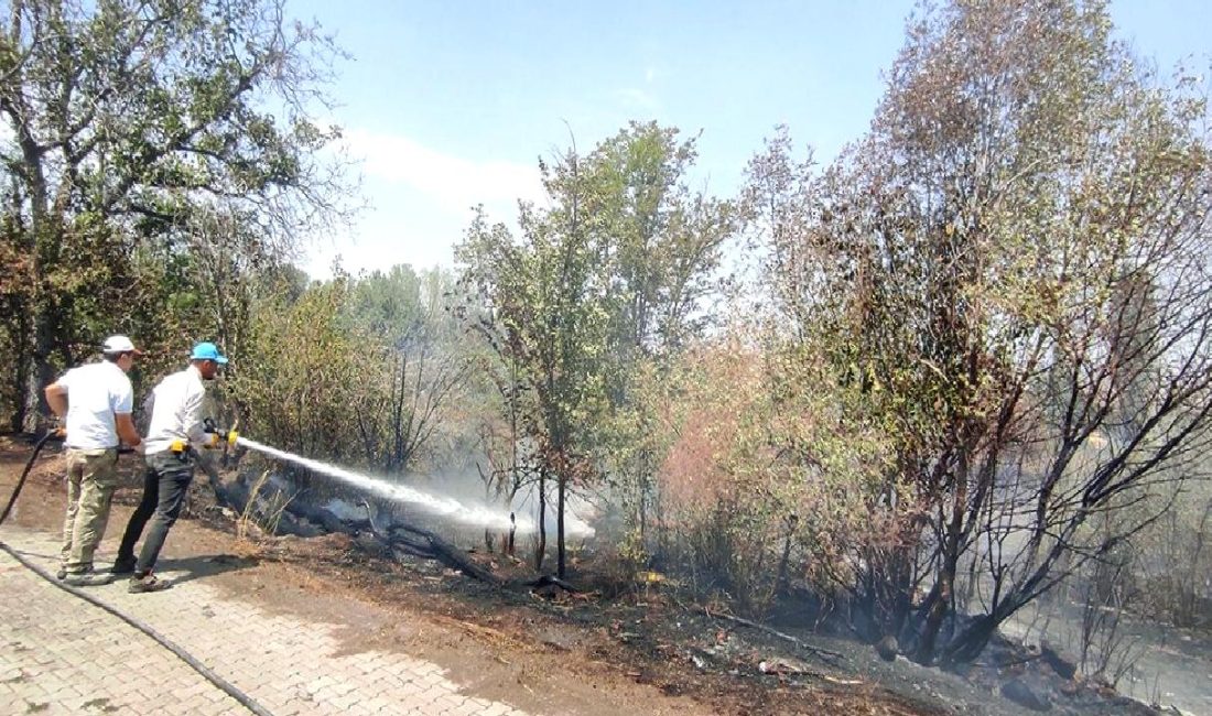 Yol kenarına atılan atıklar 6 dekarı kül etti Yol kenarına atılan atıklar yangın çıkararak 6 dekar alanı kül