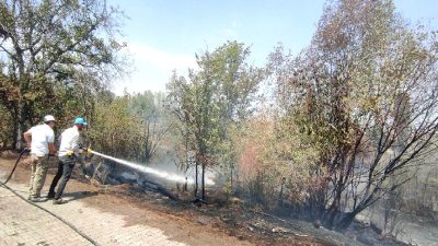 Yol kenarına atılan atıklar yangın çıkararak 6 dekar alanı kül