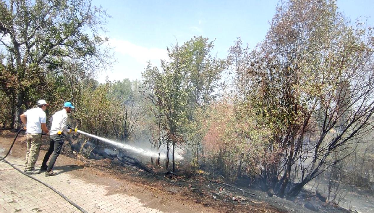 Yol kenarına atılan atıklar yangın çıkararak 6 dekar alanı kül