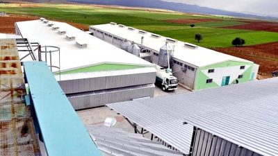 Yumurta firmasına kayyum atandı. Firmanın mali sorunları nedeniyle alınan bu